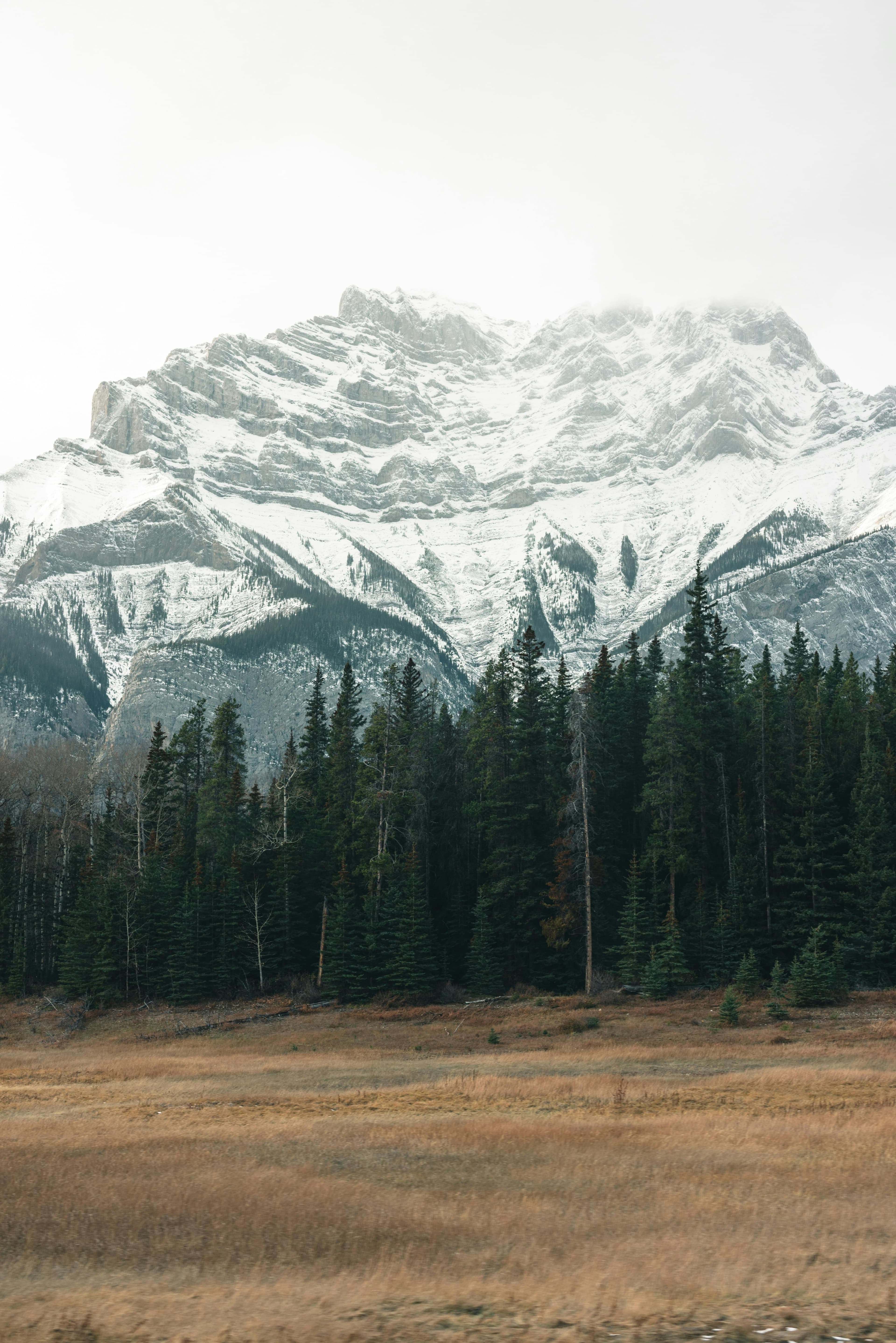 Winter camping in Alberta