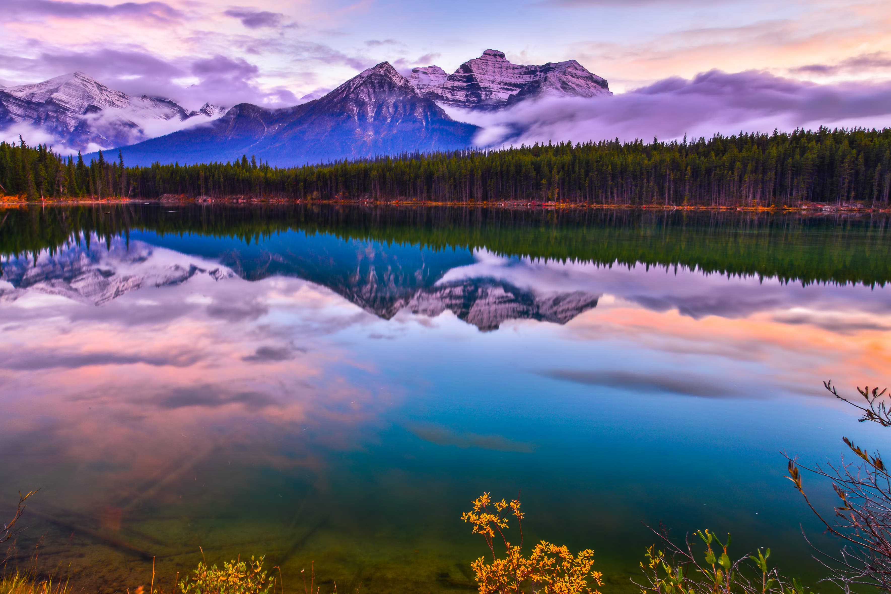 Weekend Getaways: The Best Campgrounds Near Calgary