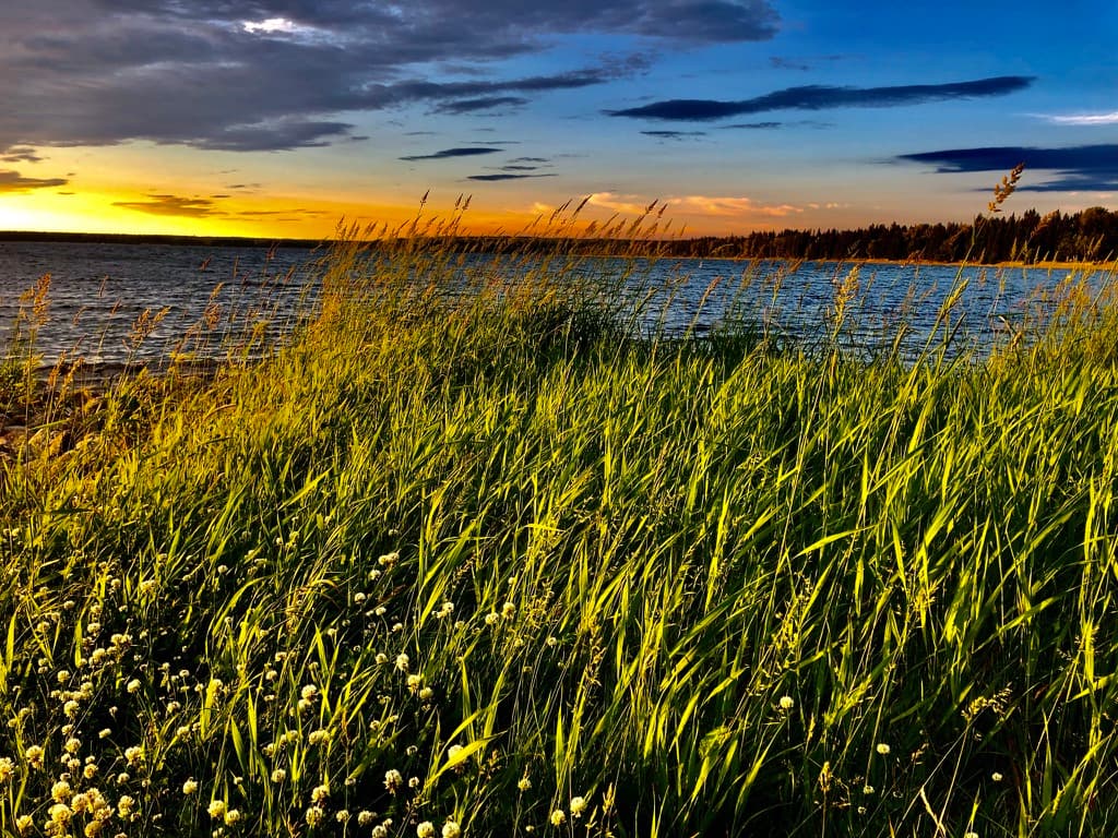 Best Alberta Campgrounds for Families – Top Picks for 2025